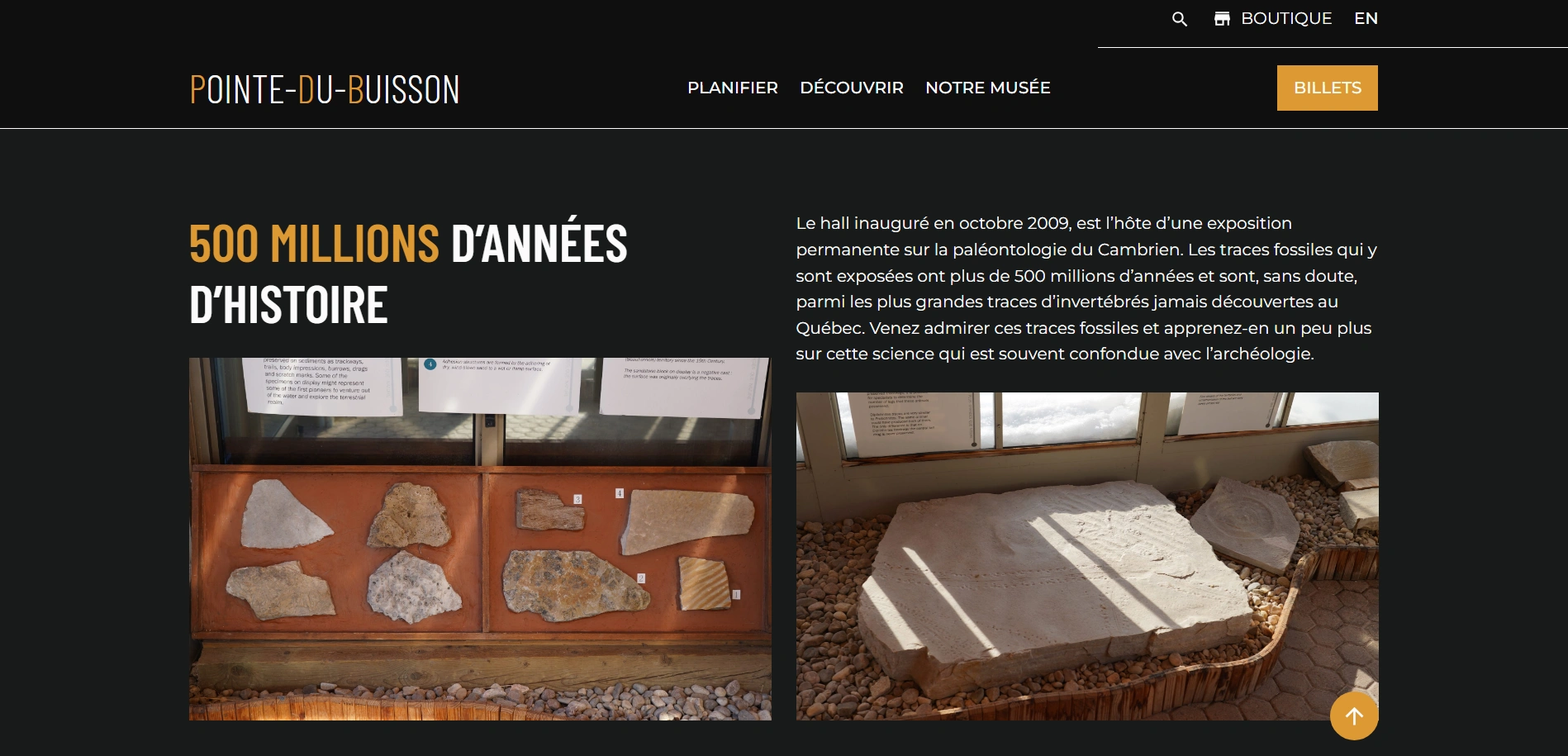 Image d'une page d'exposition du site